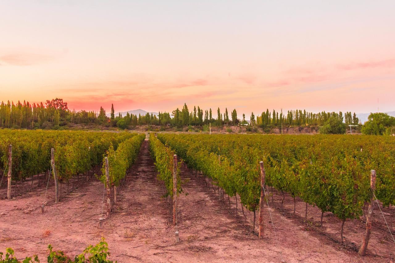 Marale Wines Hotel Boutique Villa Media Agua Exterior photo
